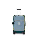 Darcey Small Carry-On Rolling Luggage
