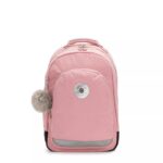 Classroom 17 Laptop Backpack