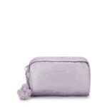 Gleam Metallic Pouch
