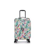 Spontaneous Small Printed Rolling Luggage